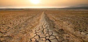The Water Crisis 