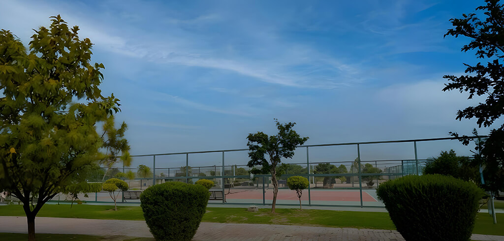 How to Adopt an Eco-Conscious Lifestyle 