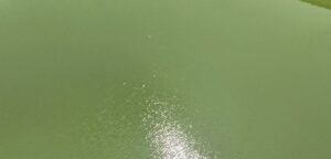 why Water Developments matters