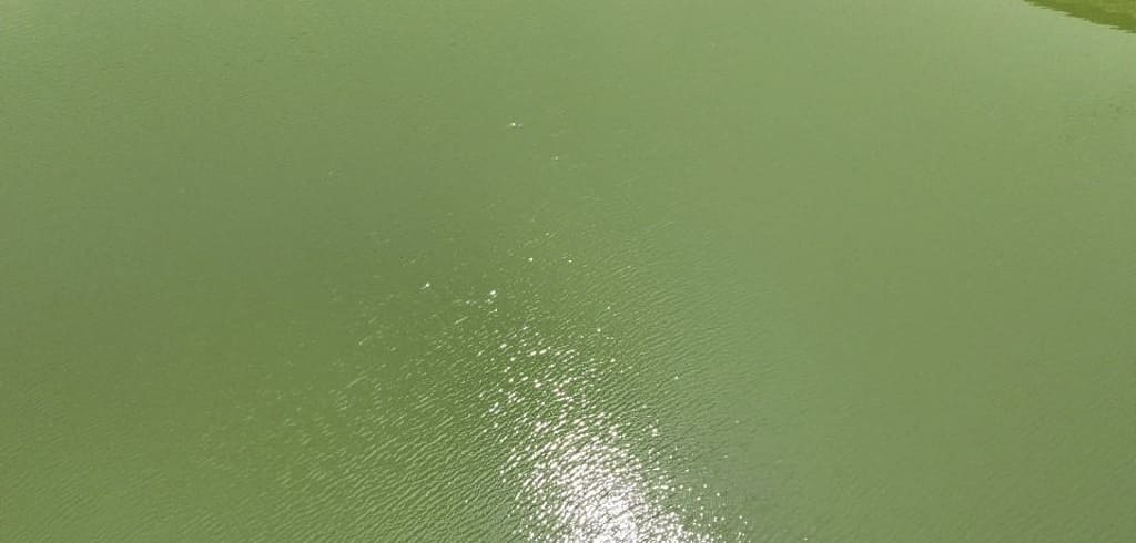 why Water Developments matters