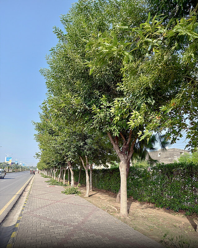 Strategic Location and Accessibility 