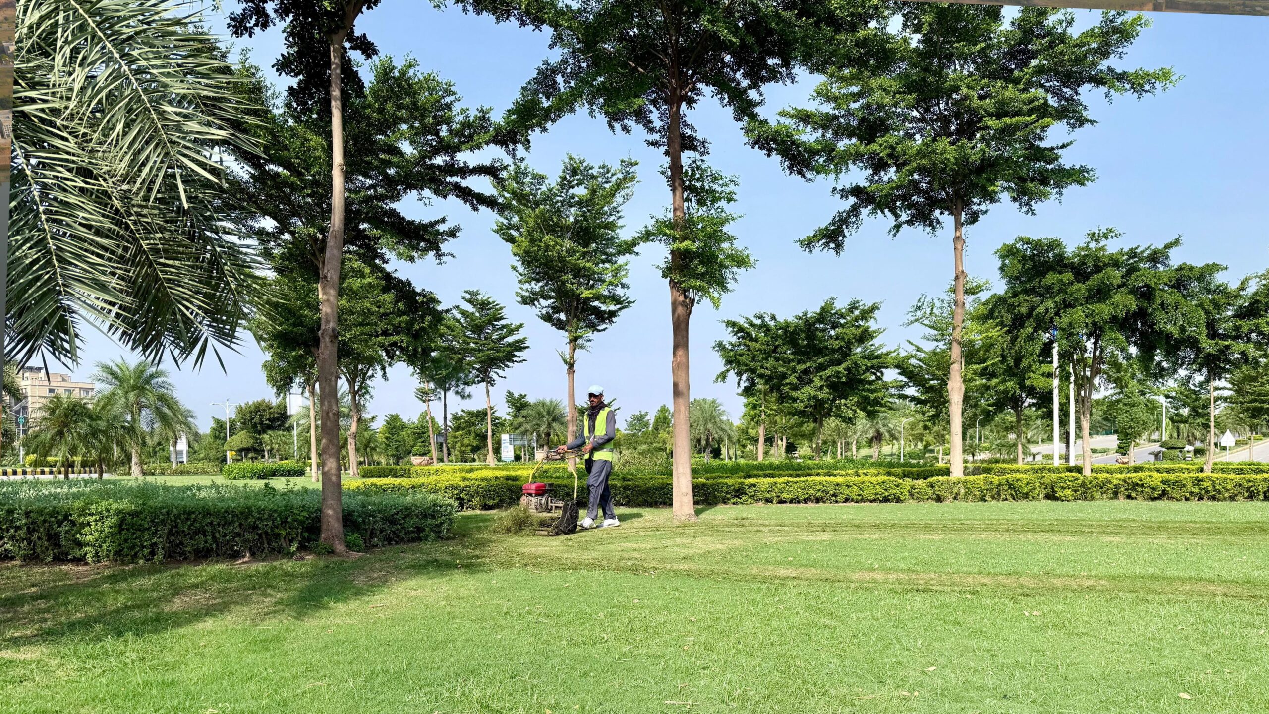 Ecological and Environmental Benefits